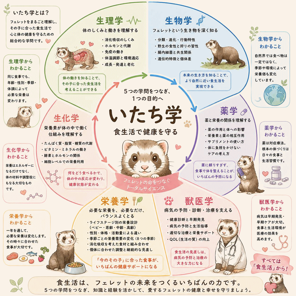 いたち学とは